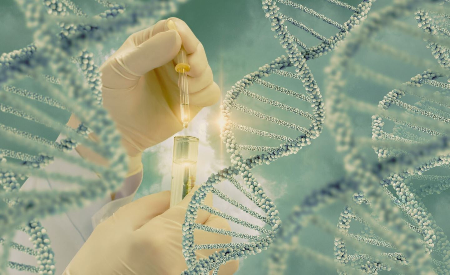 DNA badania Gdańsk